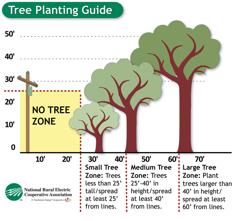 Tree planting clearance guide